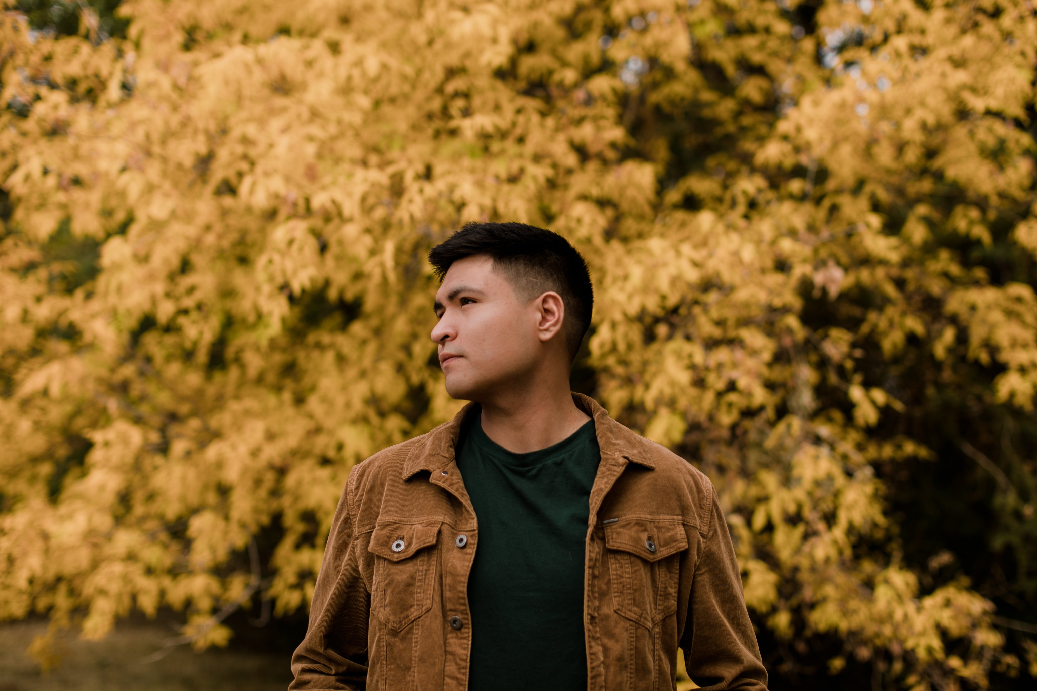 <em>Luis G.</em>